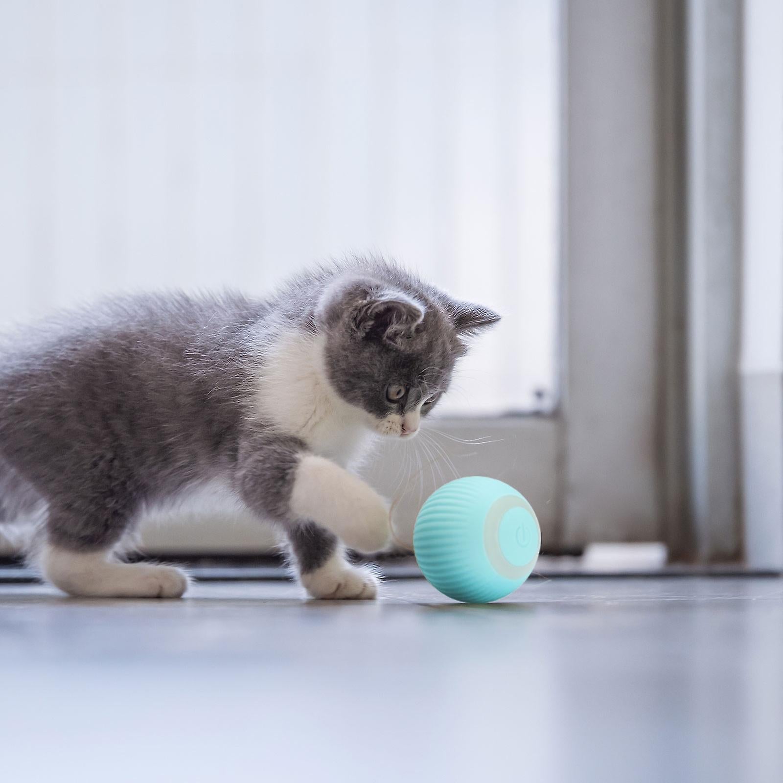 Loopy | Interactive Smart Cat Ball