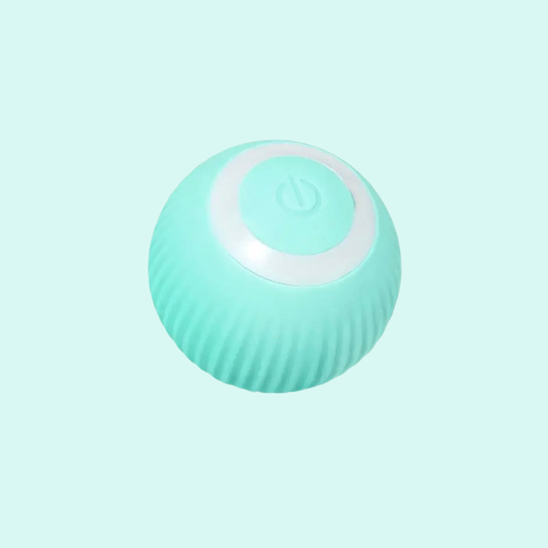 Loopy | Interactive Smart Cat Ball