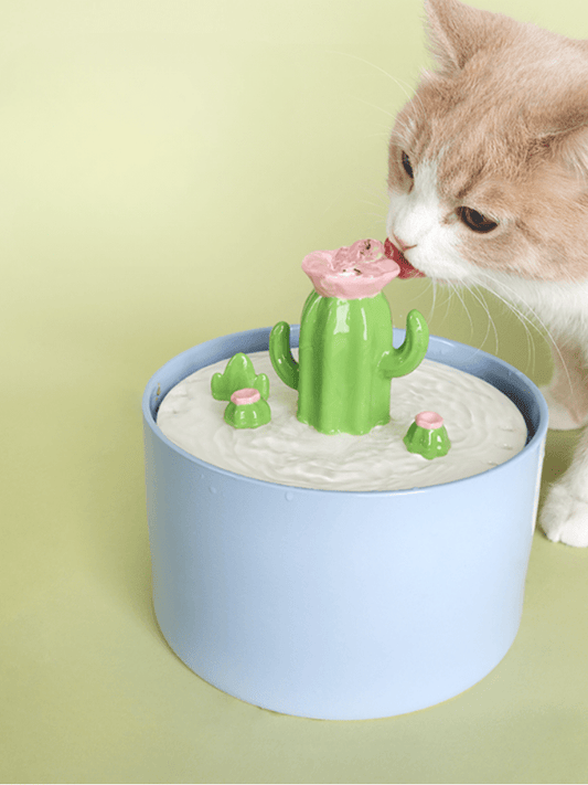 CactoFlow | Cactus Water Dispenser -