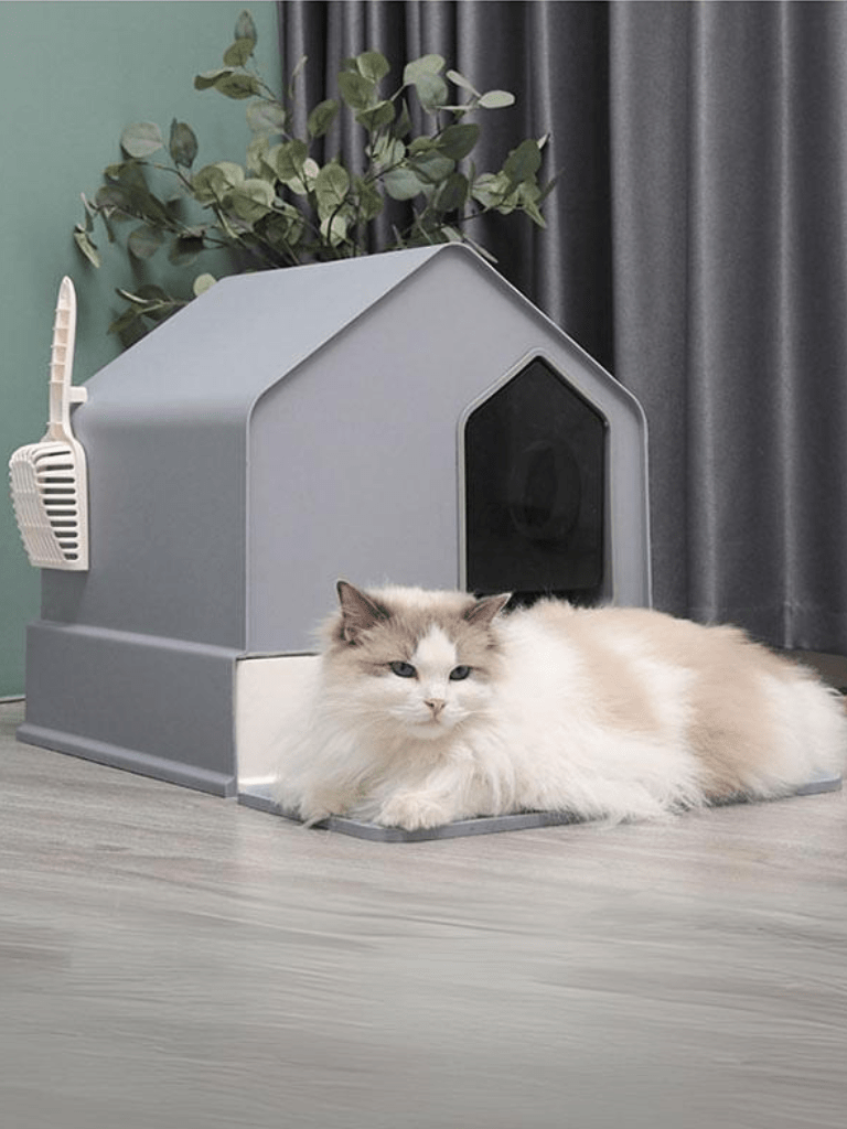 CasaMiauw | Cat Toilet -