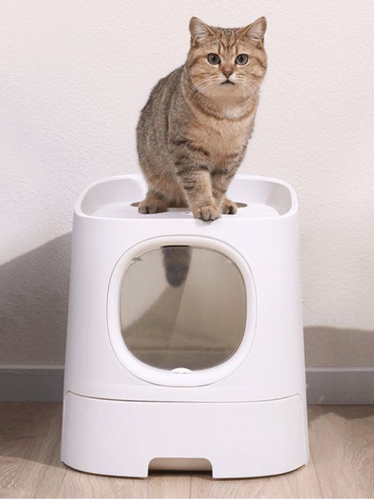 Catraa | MoSplash - proof cat toilet -