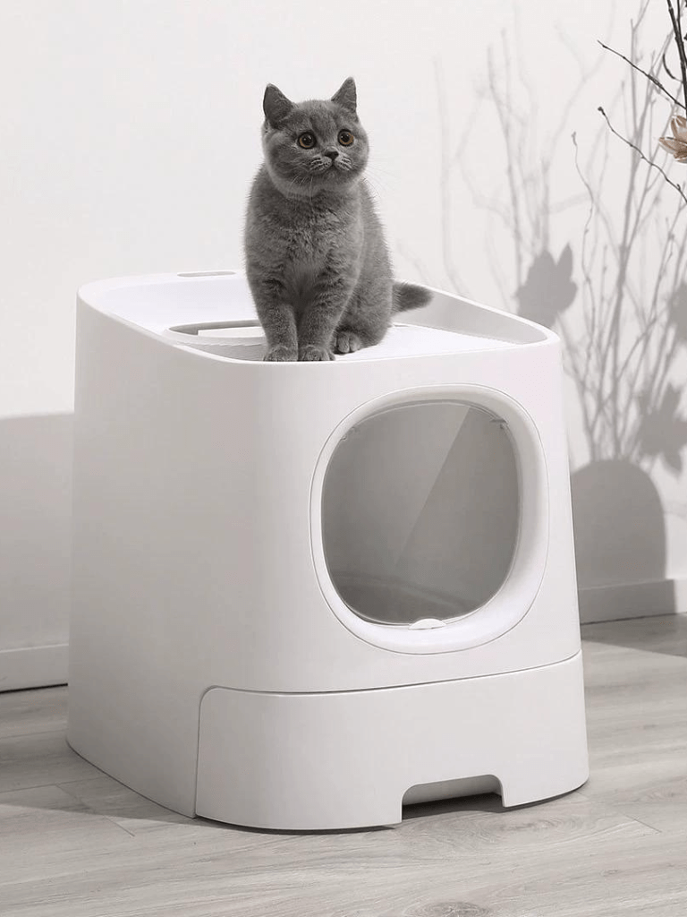 Catraa | MoSplash - proof cat toilet -