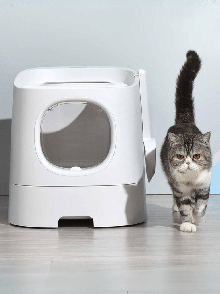 Catraa | MoSplash - proof cat toilet -