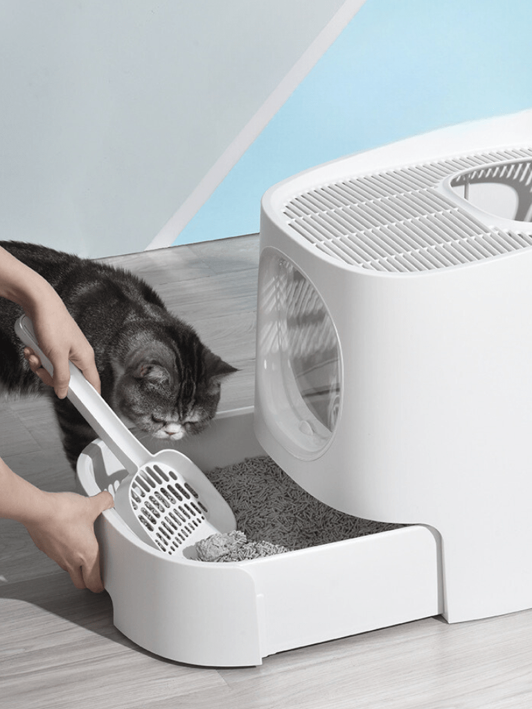 Catraa | MoSplash - proof cat toilet -