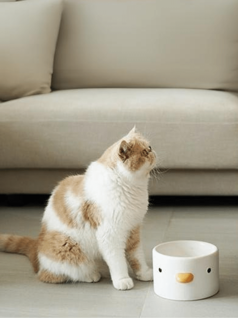 DuoDuck | Food & Water Bowl -