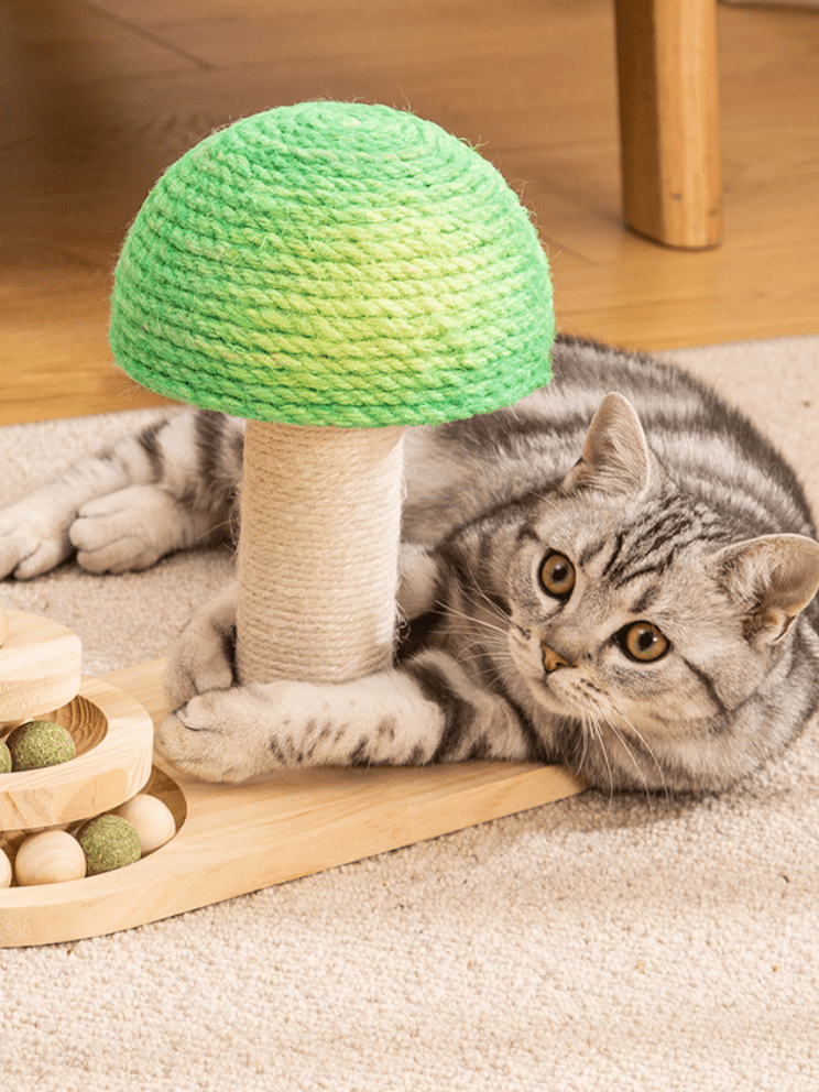 ForestPaw | Cat Scratcher -