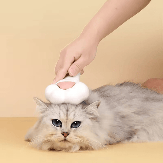 FurEase | Cat Brush -