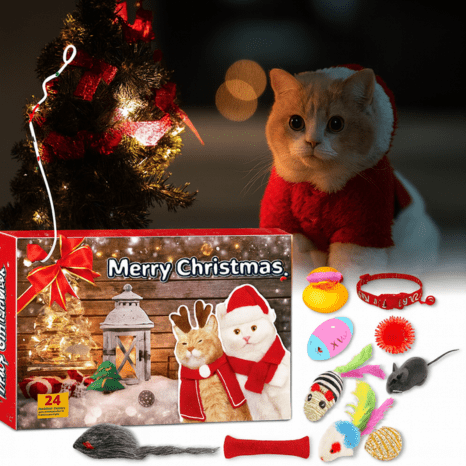 Jingle Paws | Advent Calender -