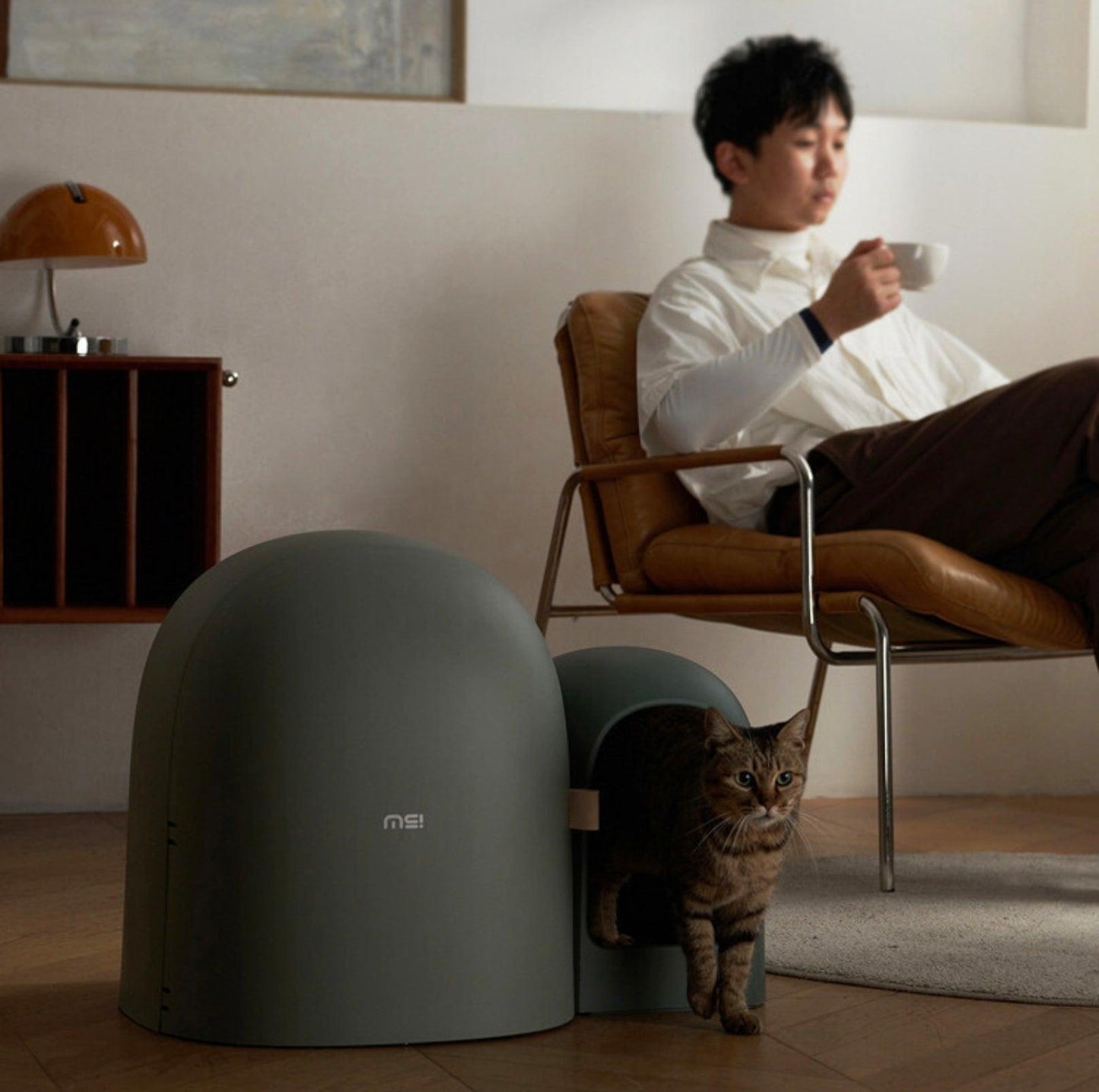 MioBox | Litter Box -