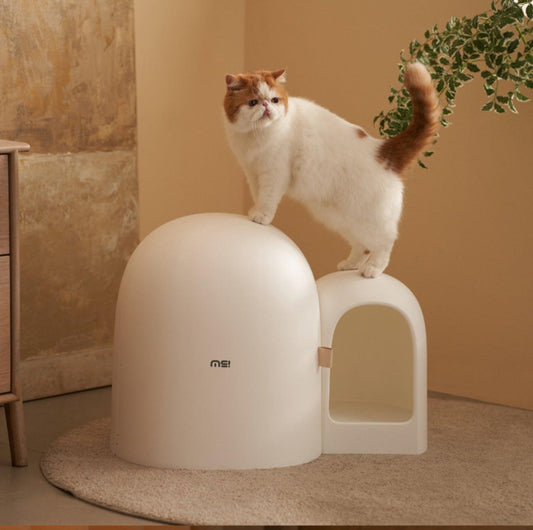 MioBox | Litter Box -