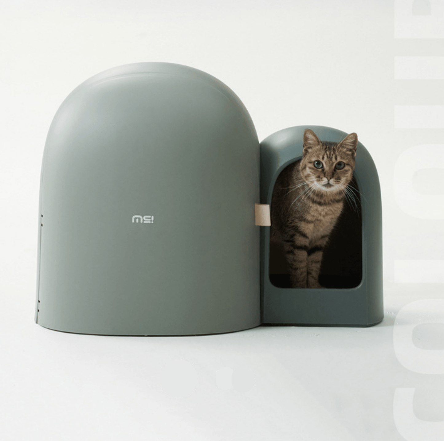 MioBox | Litter Box -