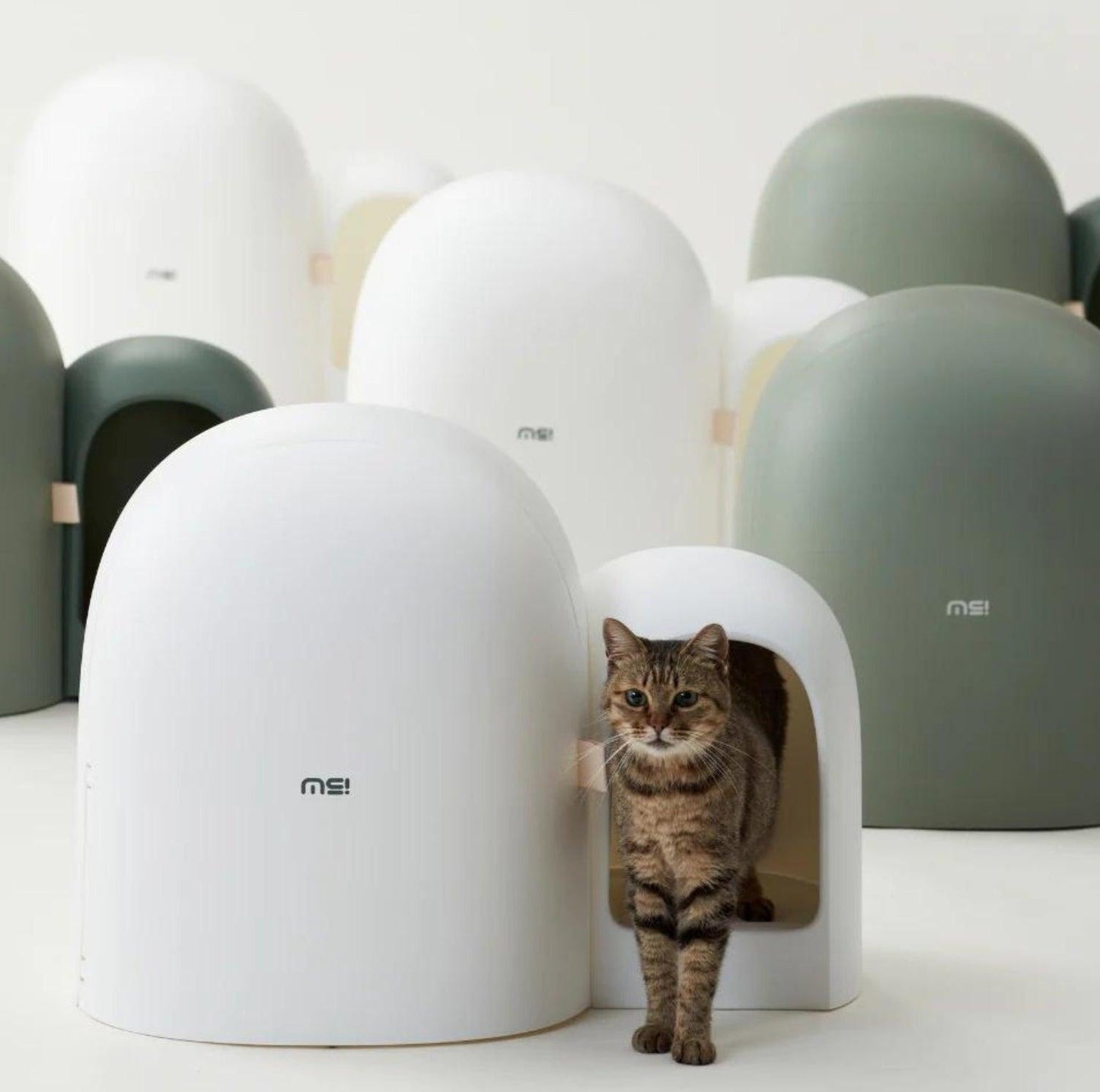 MioBox | Litter Box -