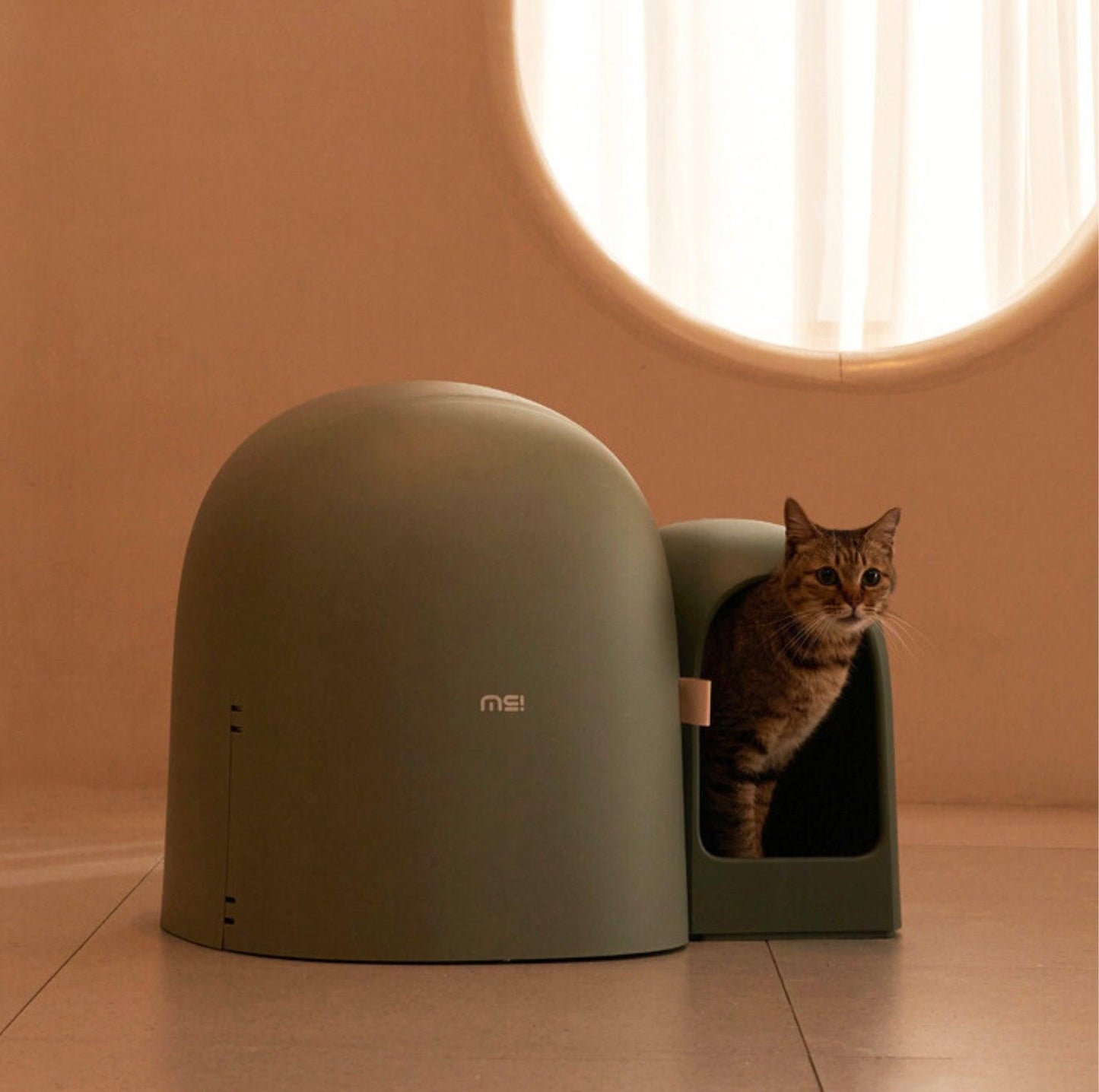 MioBox | Litter Box -