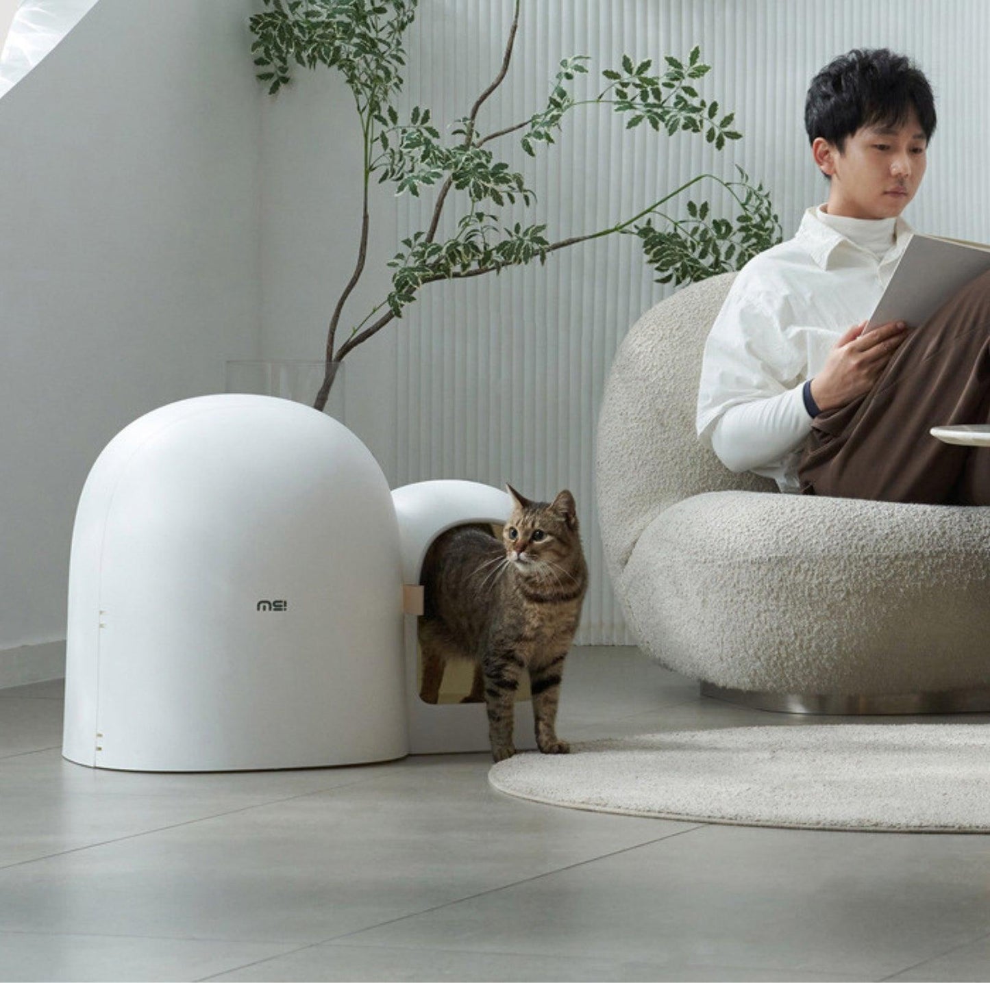 MioBox | Litter Box -