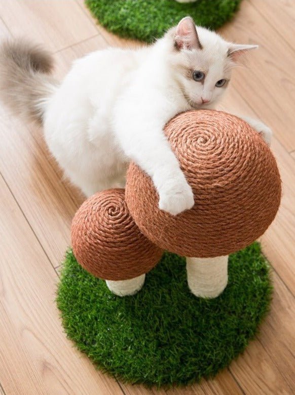 PurrShroom | Cat Scratcher -