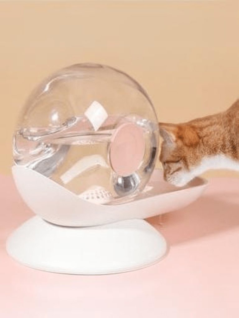Roundy | Water Dispenser -