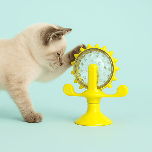 Spindi | Candywheel -