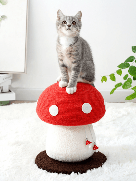 ToadPaw | Cat Scratcher -