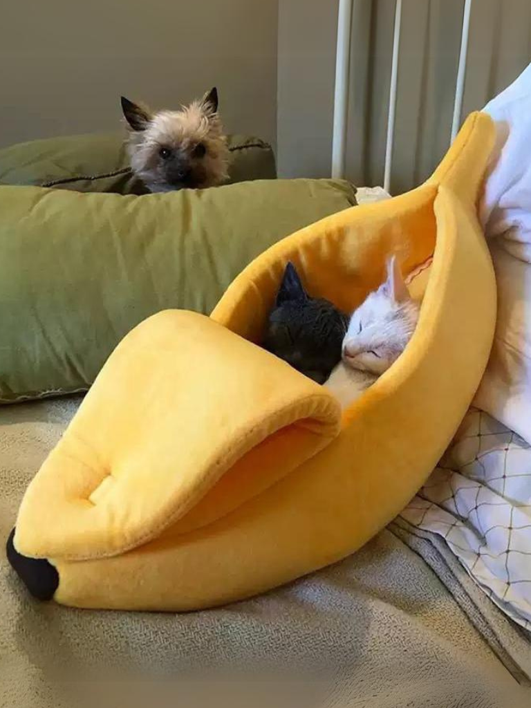 Banana Cat Bed – Cozy