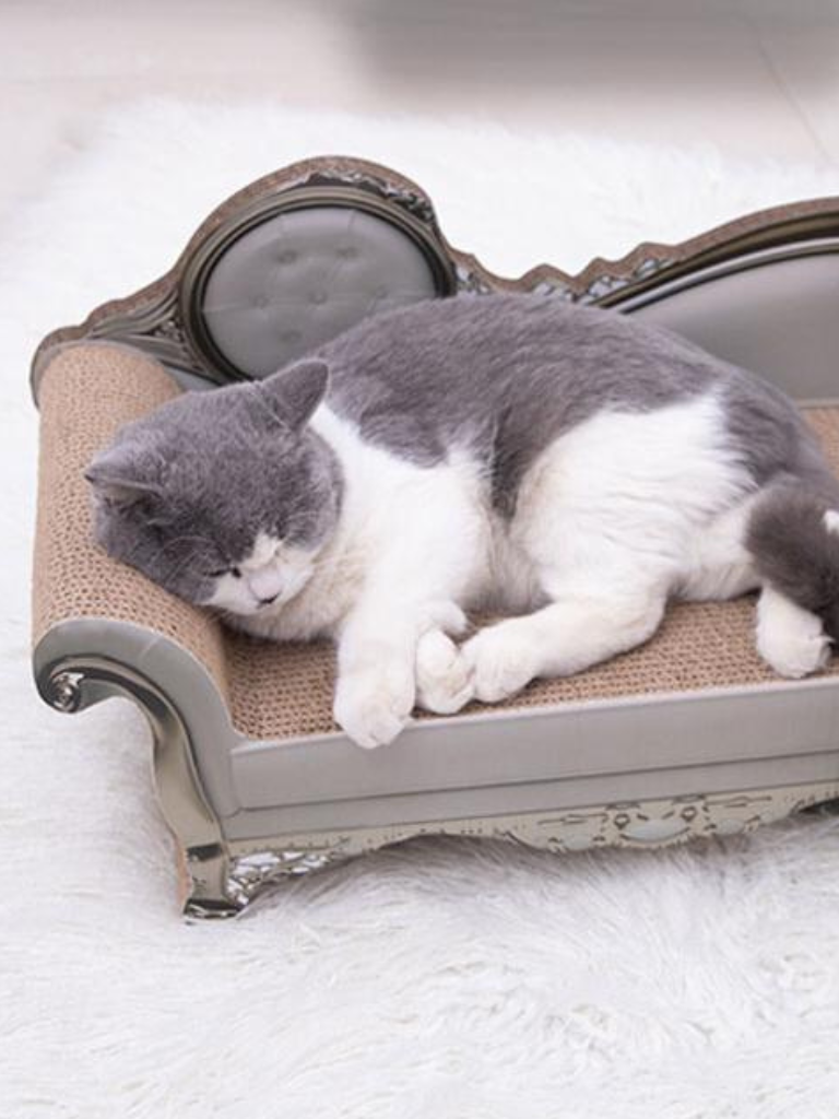 Sofa [King & Queen] – Luxury Comfort &amp; Play for Your Cat