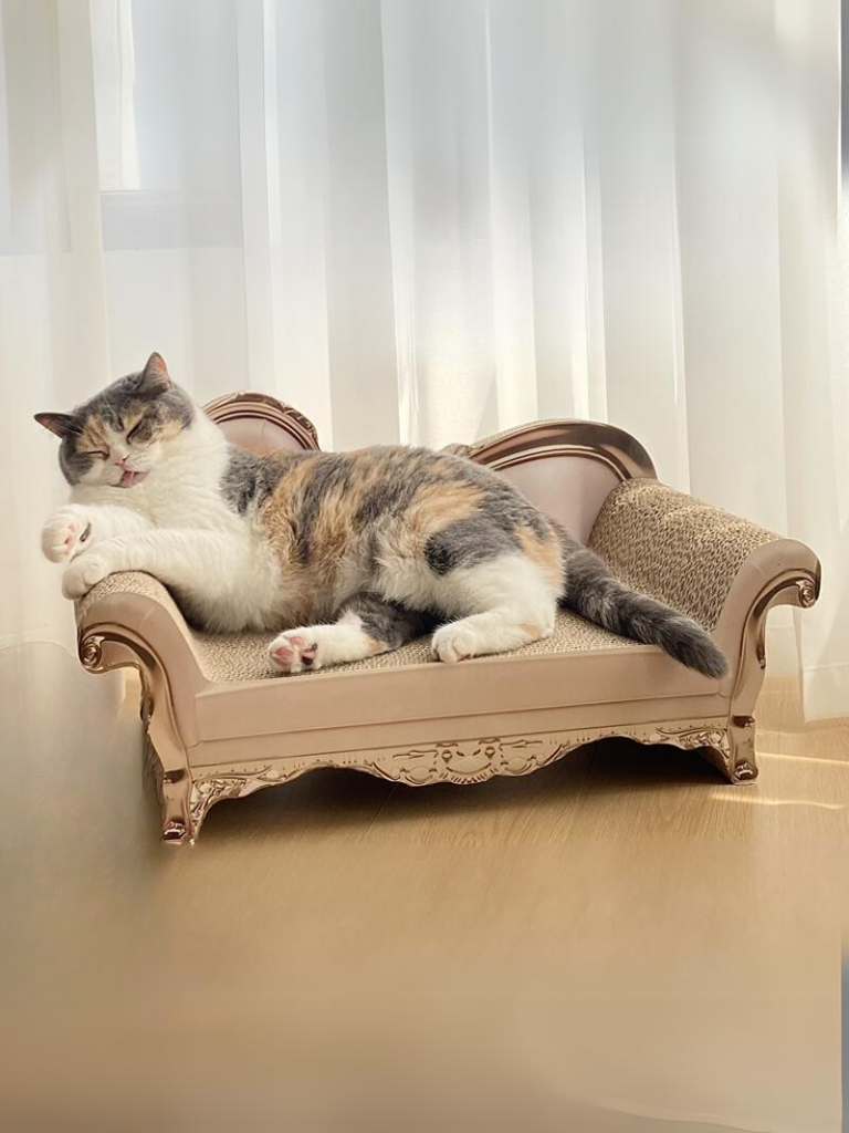 Sofa [King & Queen] – Luxury Comfort &amp; Play for Your Cat