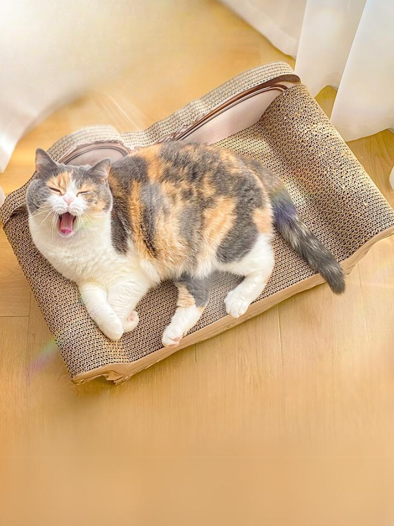 Sofa [King & Queen] – Luxury Comfort &amp; Play for Your Cat
