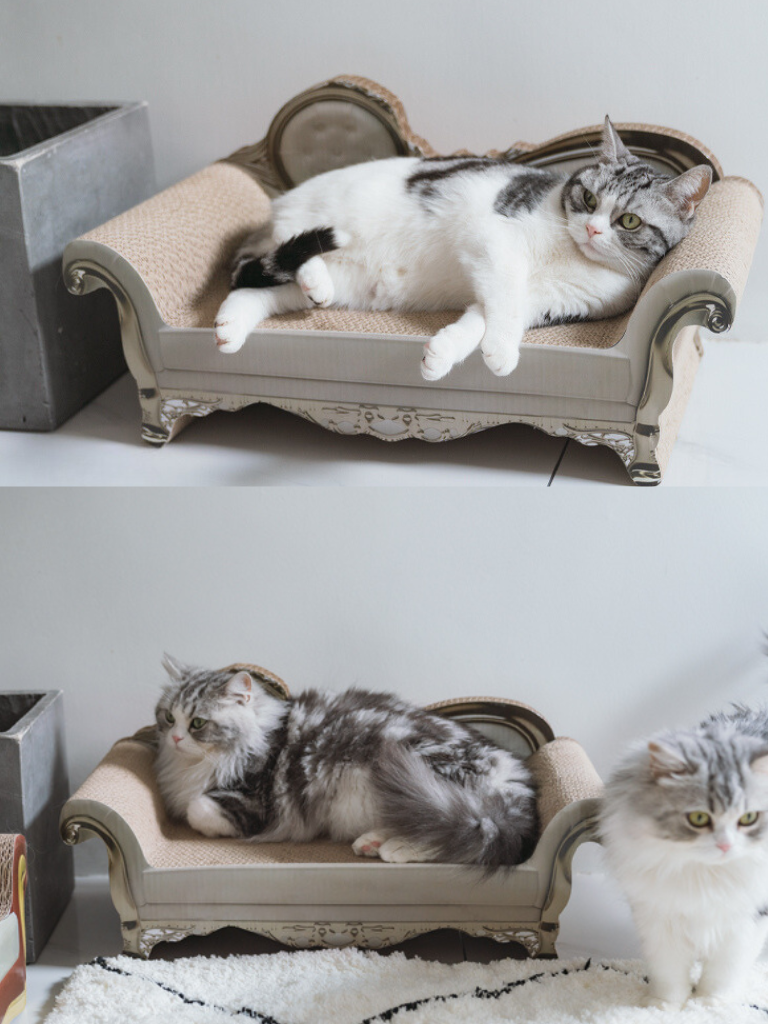 Sofa [King & Queen] – Luxury Comfort &amp; Play for Your Cat
