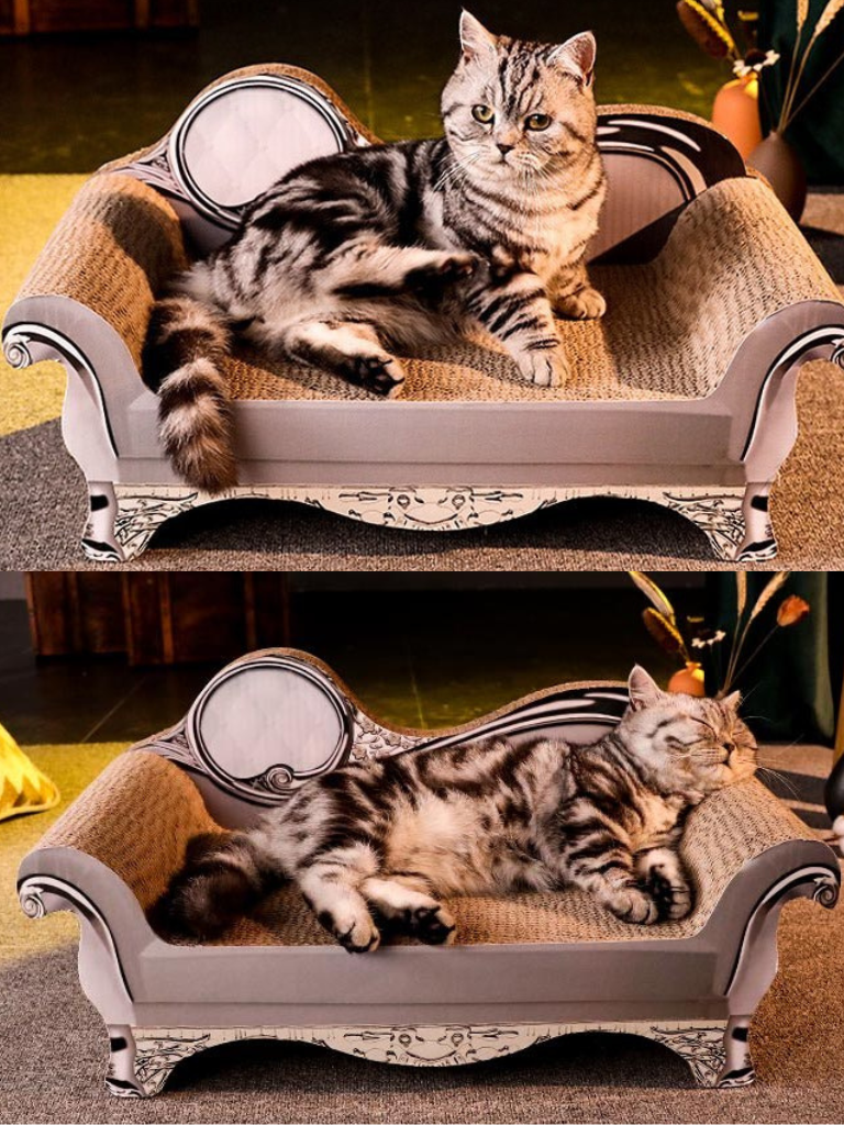 Sofa [King & Queen] – Luxury Comfort &amp; Play for Your Cat