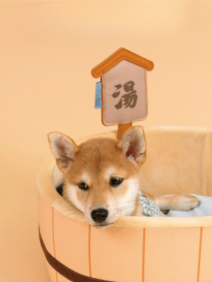 Hottub | Cat Bed