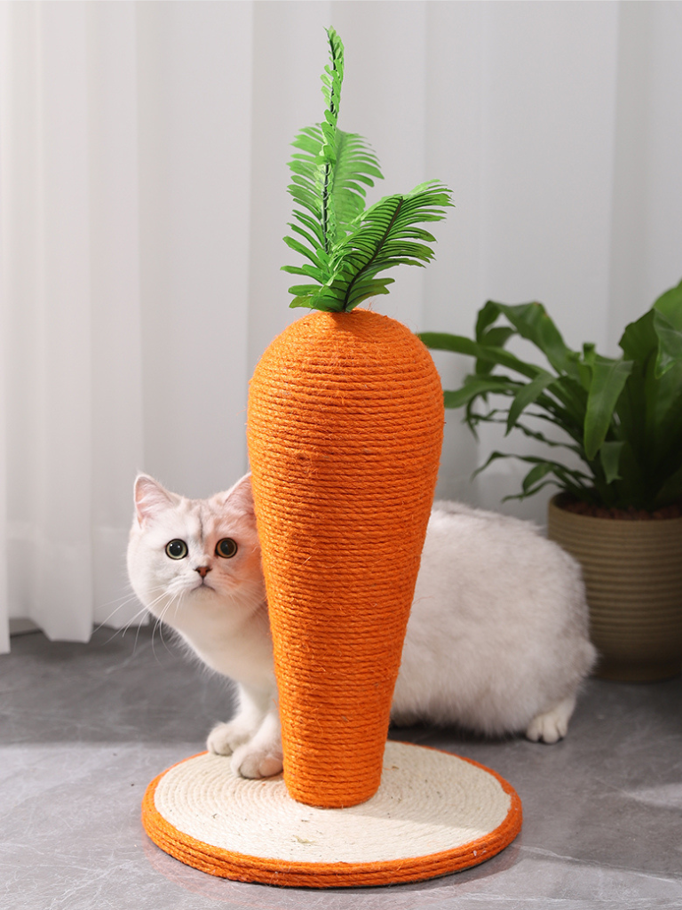 Carrot Nail Sharpener – Fun Design for Happy Cats