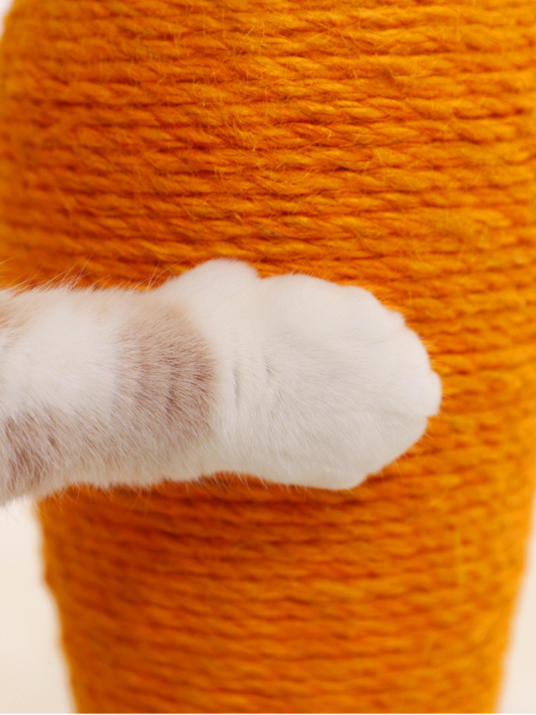 Carrot Nail Sharpener – Fun Design for Happy Cats