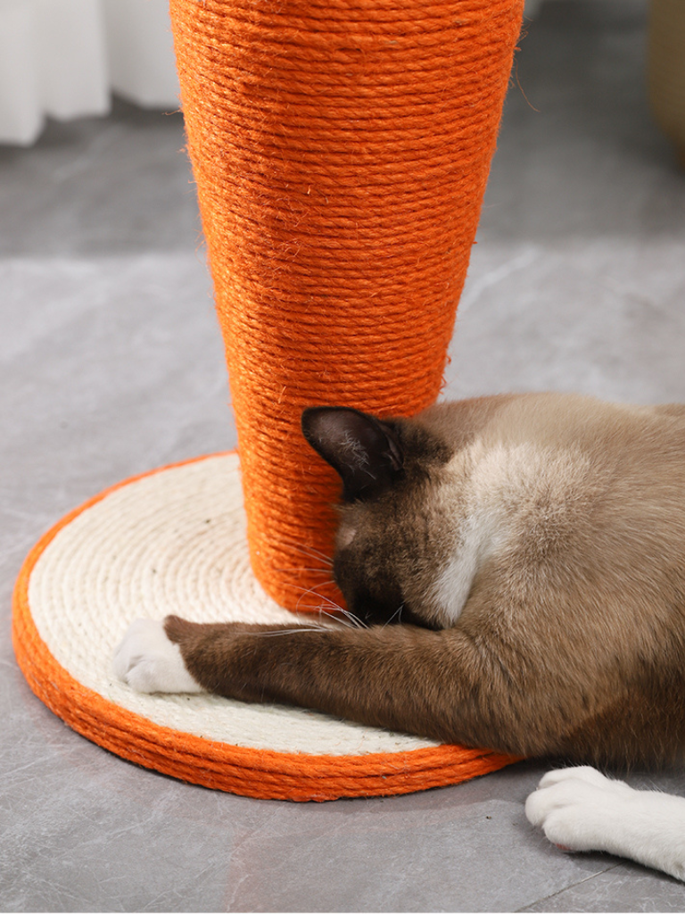 Carrot Nail Sharpener – Fun Design for Happy Cats