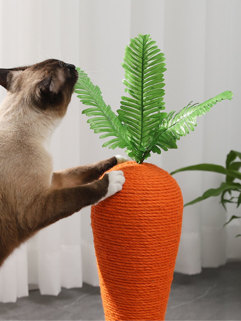 Carrot Nail Sharpener – Fun Design for Happy Cats