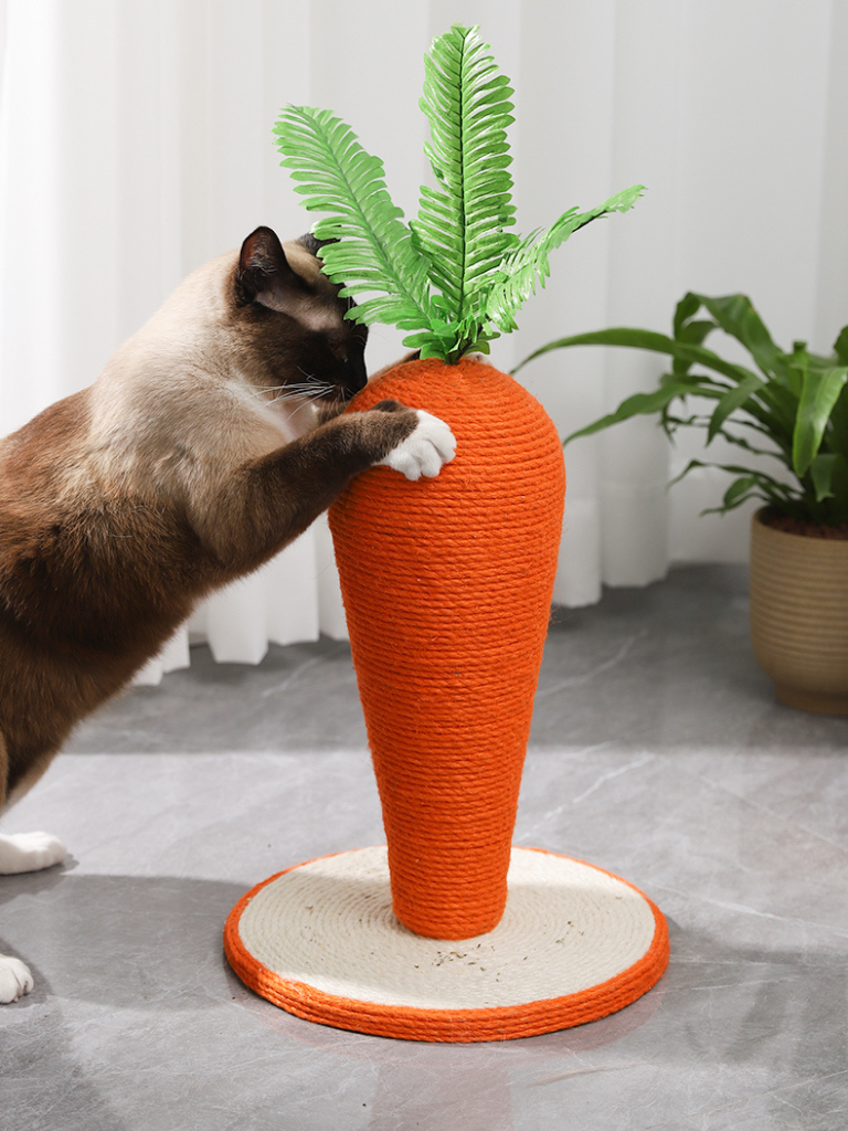 Carrot Nail Sharpener – Fun Design for Happy Cats