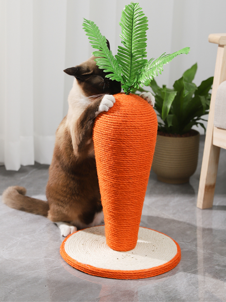 Carrot Nail Sharpener – Fun Design for Happy Cats