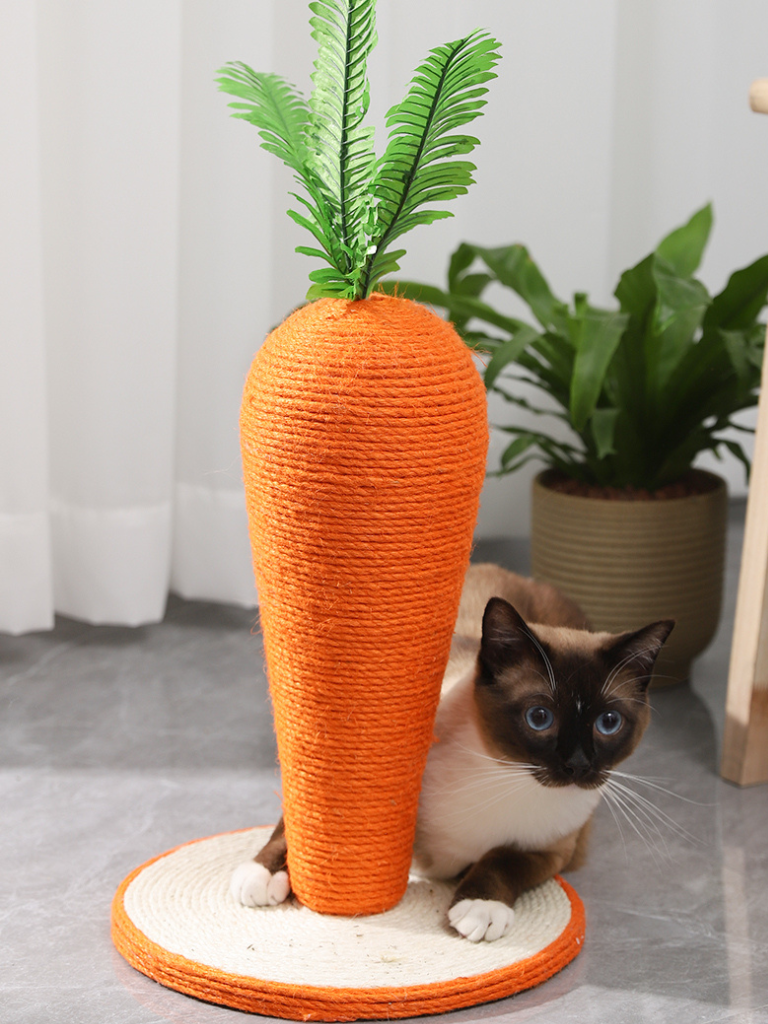 Carrot Nail Sharpener – Fun Design for Happy Cats