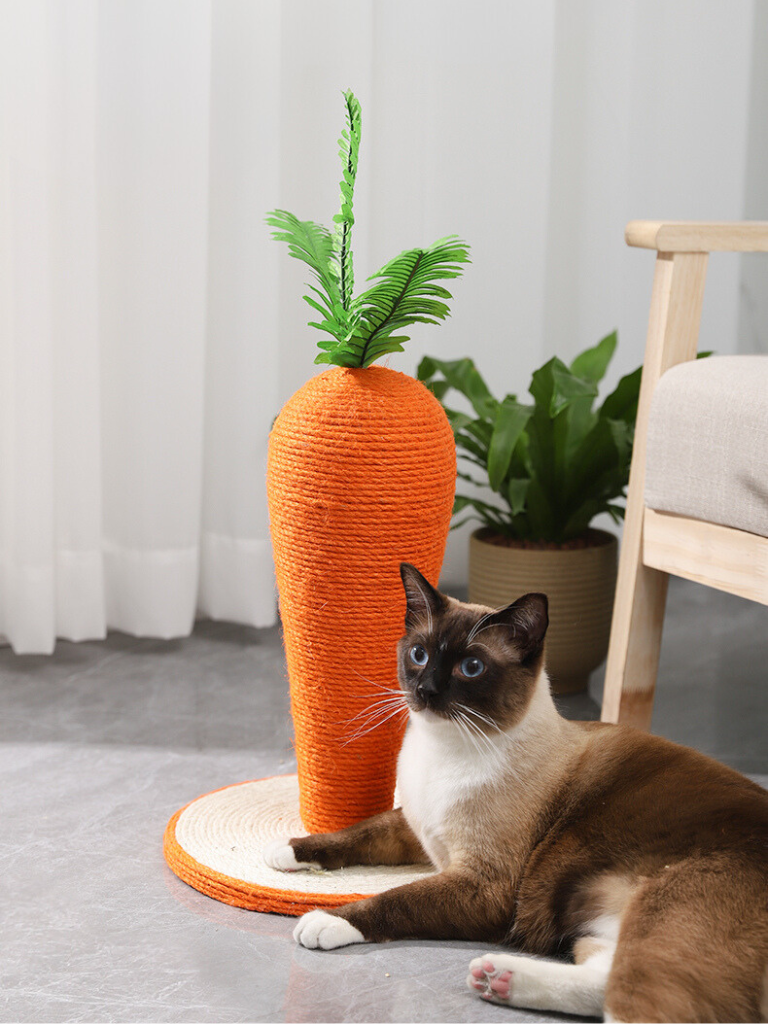 Carrot Nail Sharpener – Fun Design for Happy Cats