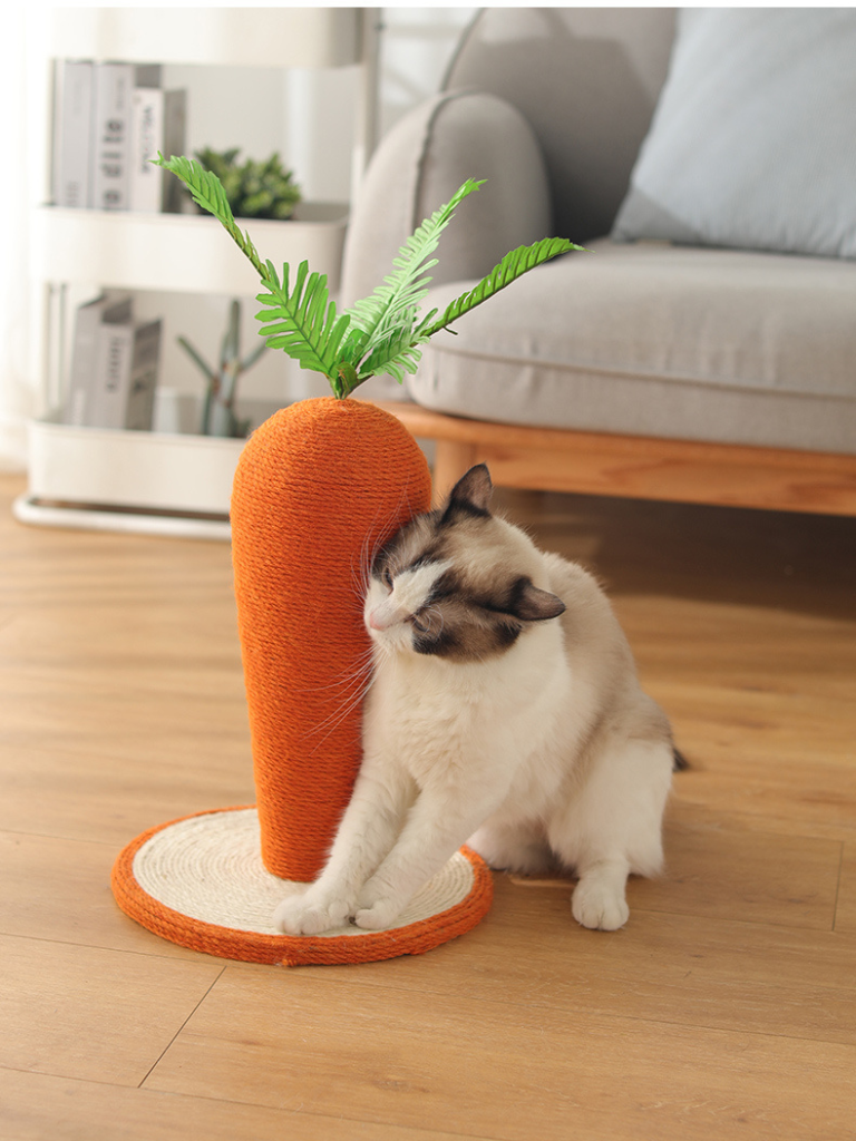 Carrot Nail Sharpener – Fun Design for Happy Cats