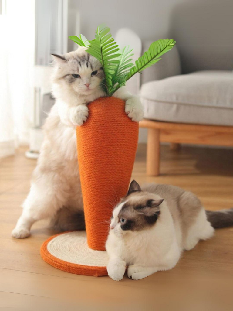 Carrot Nail Sharpener – Fun Design for Happy Cats