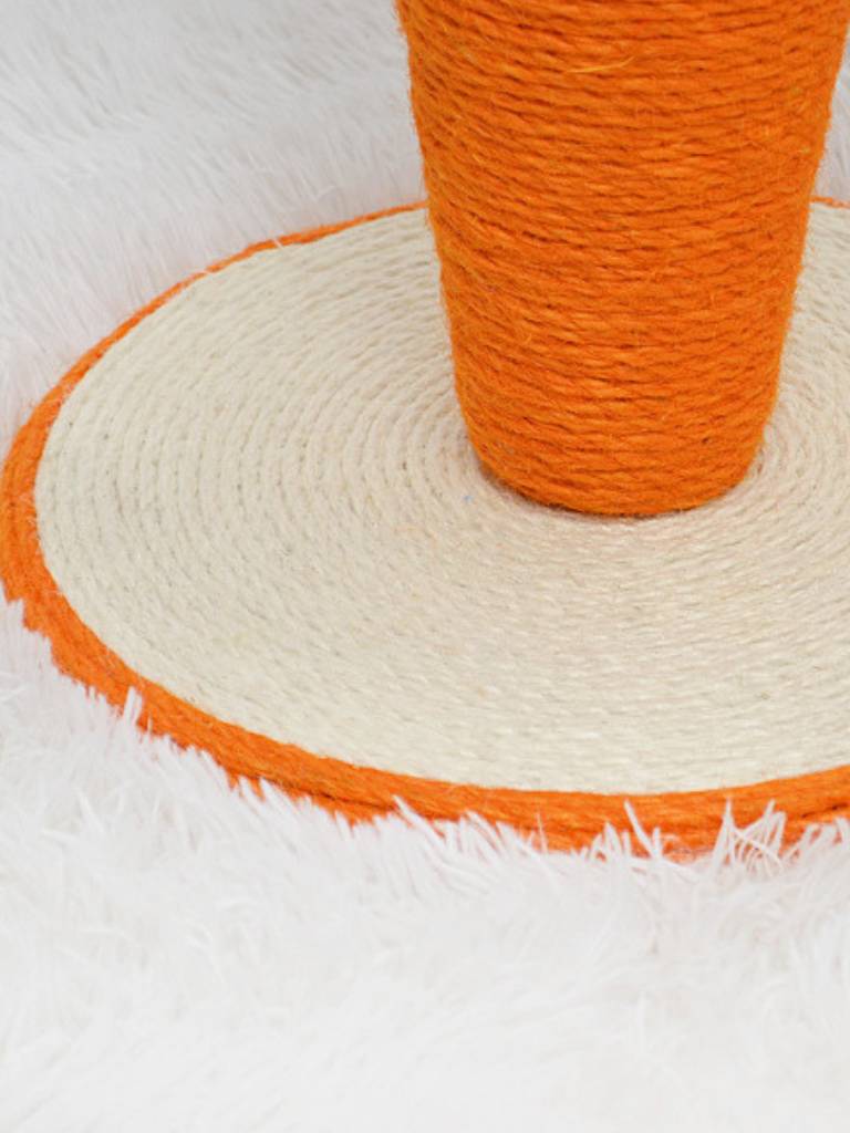 Carrot Nail Sharpener – Fun Design for Happy Cats