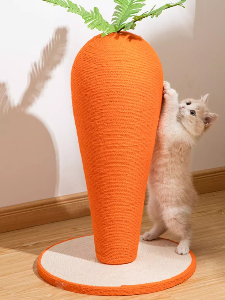 Carrot Nail Sharpener – Fun Design for Happy Cats