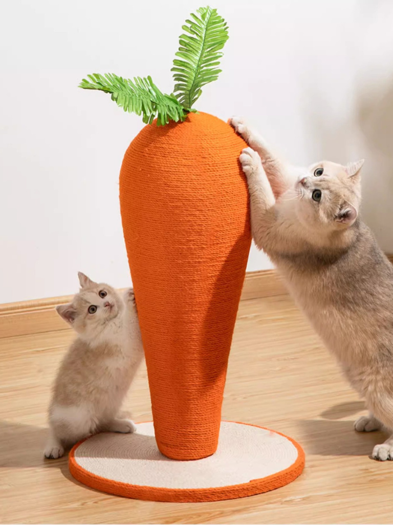 Carrot Nail Sharpener – Fun Design for Happy Cats
