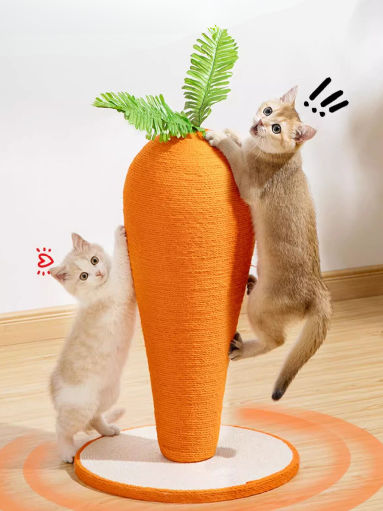 Carrot Nail Sharpener – Fun Design for Happy Cats