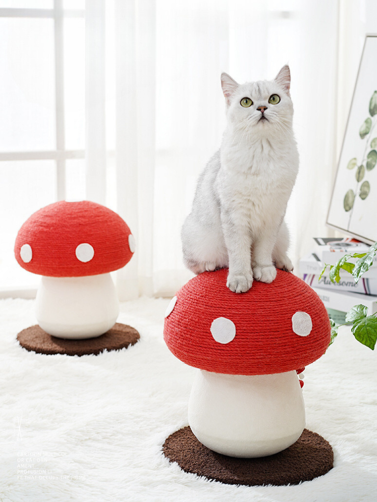 Mushroom Scratcher