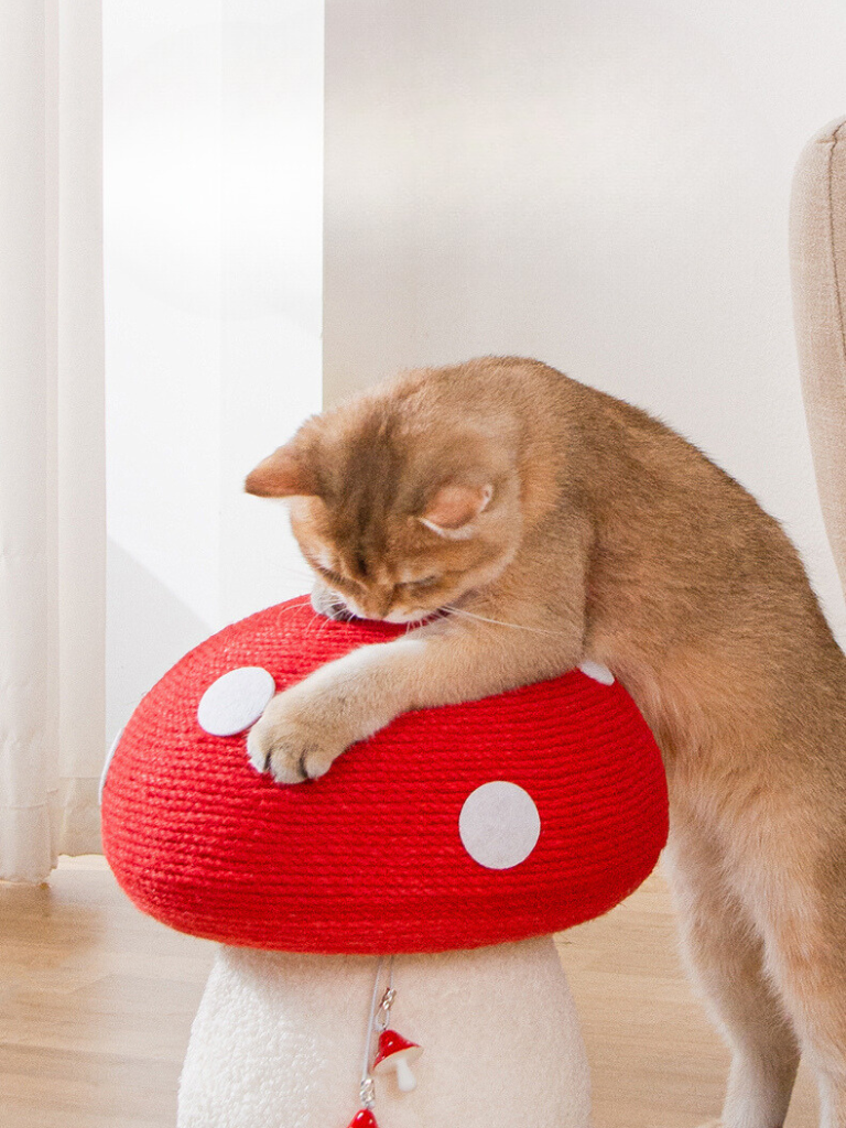 Mushroom Scratcher