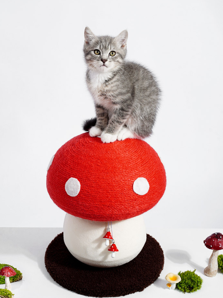Mushroom Scratcher