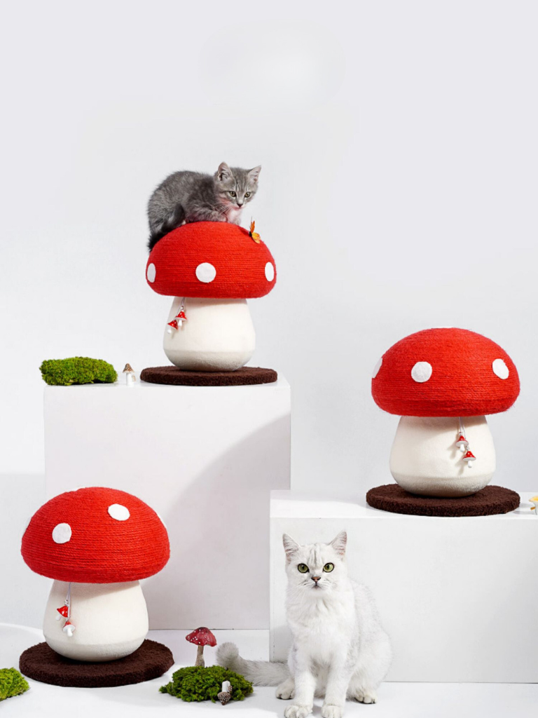 Mushroom Scratcher