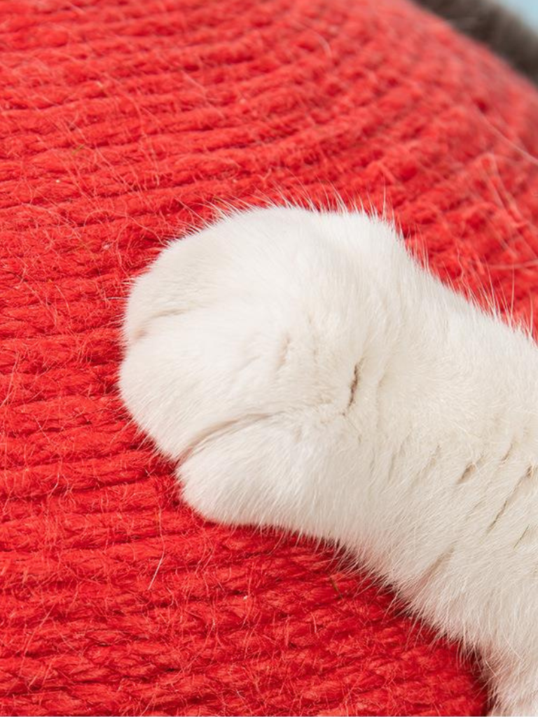Mushroom Scratcher