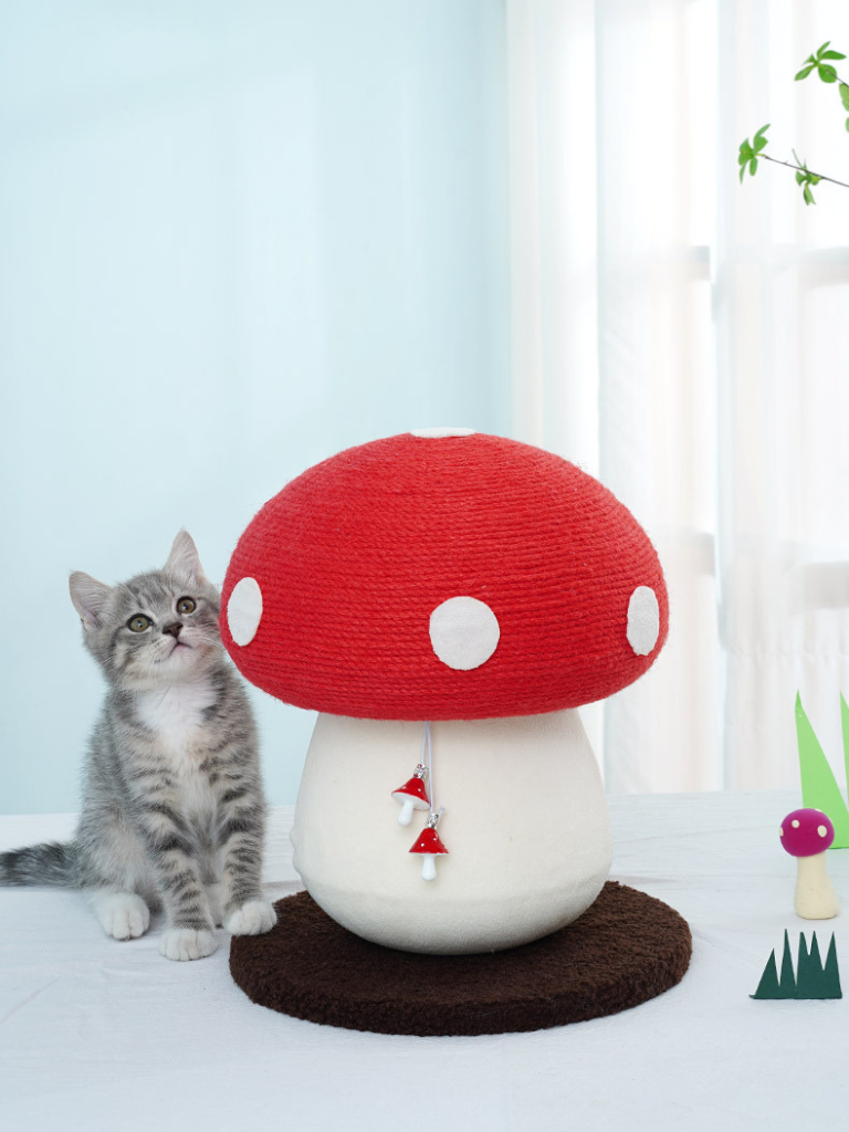 Mushroom Scratcher