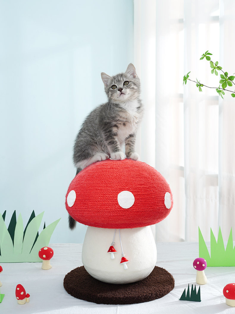 Mushroom Scratcher